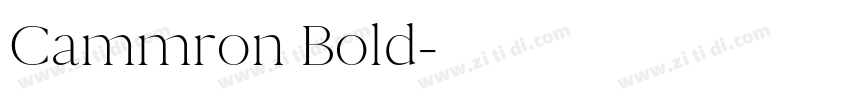 Cammron Bold字体转换